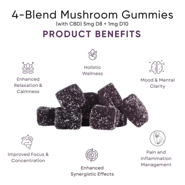 HONA 4-Blend Mushroom Gummies with CBD Product Benefits