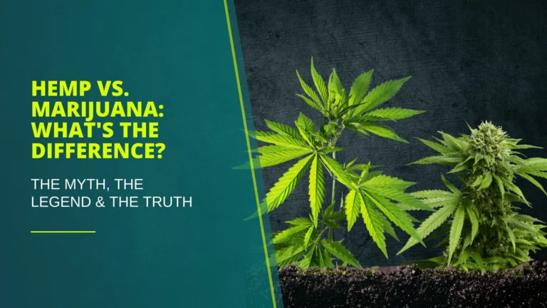 Hemp vs. Marijuana What's the Difference Blog Cover copy