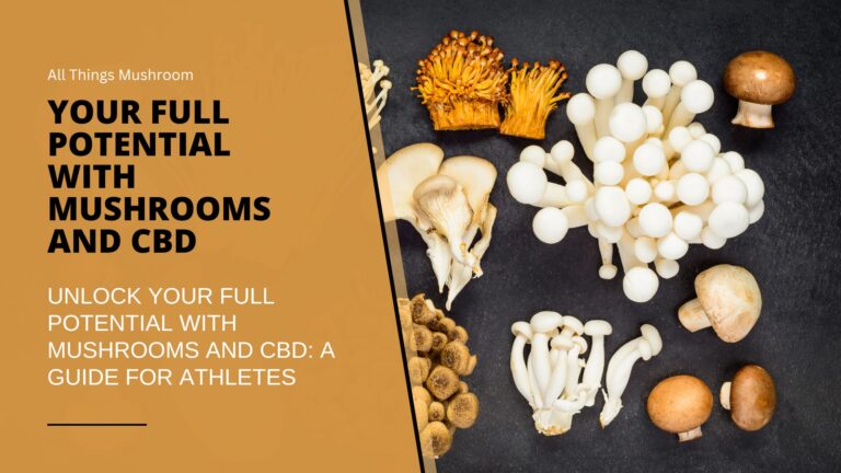 Mushrooms and CBD Blog Cover